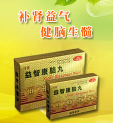 益智康脑丸